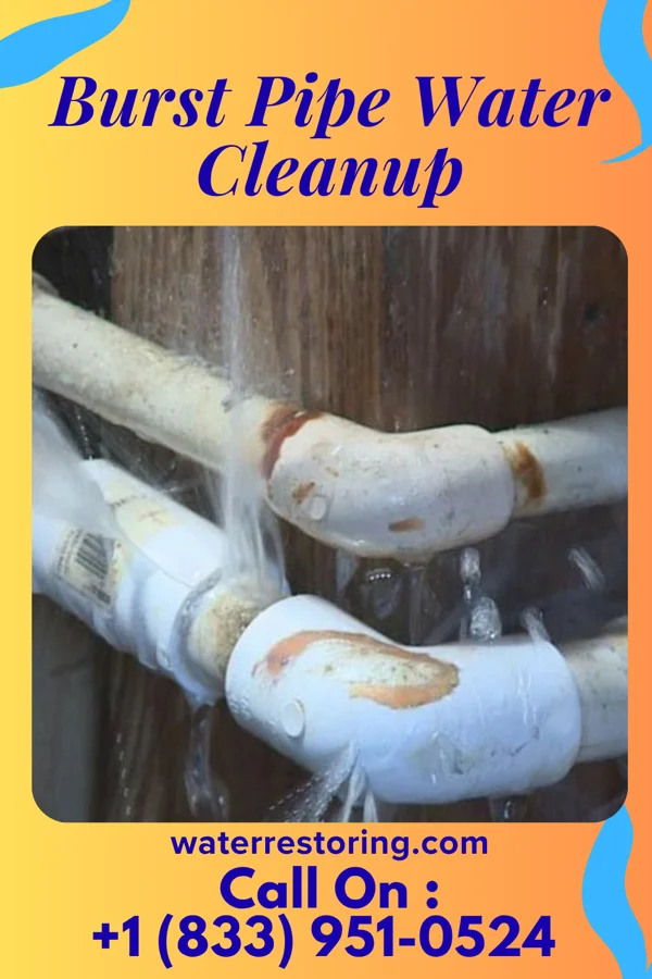 Burst Pipe Water Cleanup in Rockhill, PA