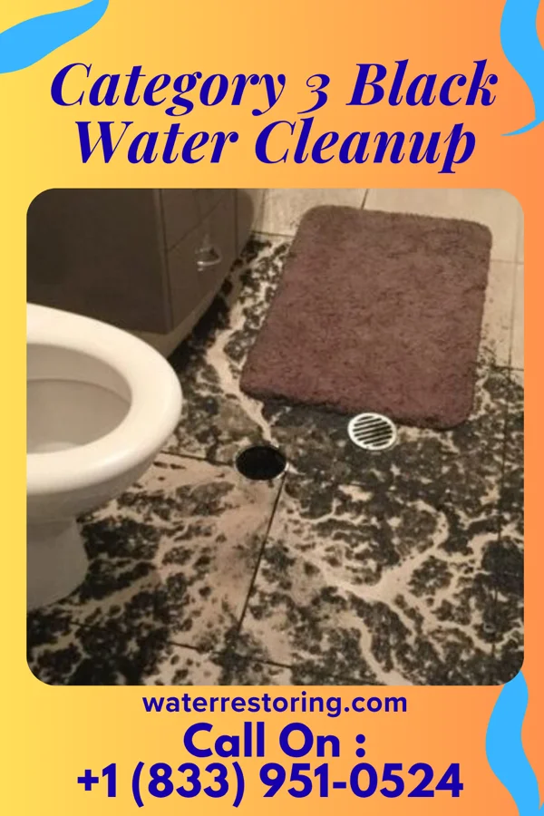 Category 3 Black Water Cleanup in Rockhill, PA
